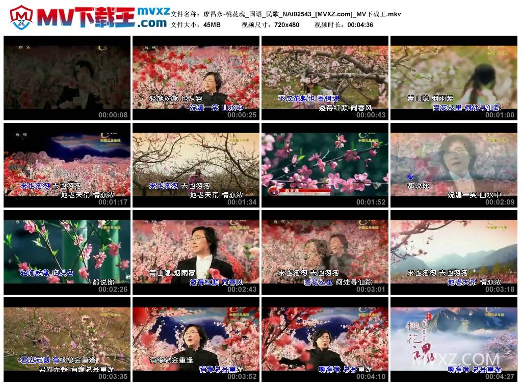廖昌永-桃花魂_国语_民歌_NAI02543